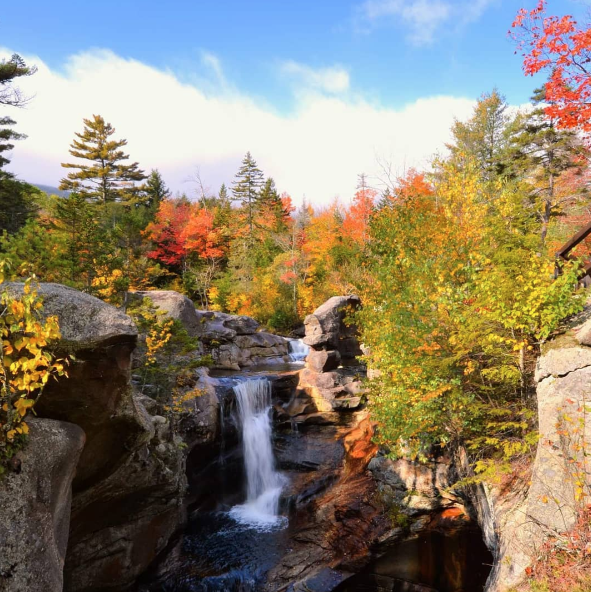 10 amazing things to do in the fall